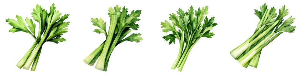 Fresh stalks of celery displayed in various orientations, showcasing vibrant green leaves and crisp texture.