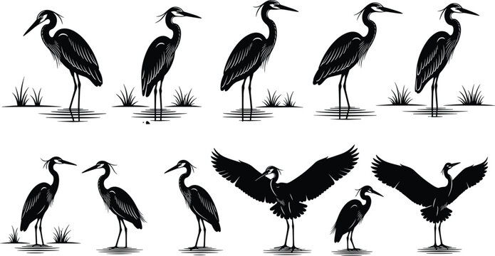 WebBlack vector silhouette set of herons for concepts of wildlife nature wetland birds flying standing in water and mascot branding