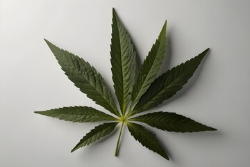 Medical marijuana leaf icon (clean white)
