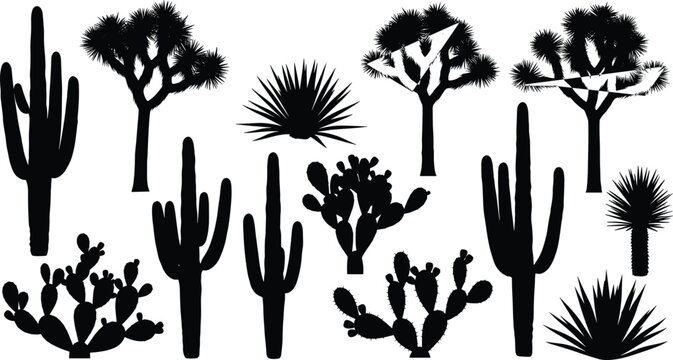 WebBlack vector silhouette set of desert cacti and Joshua trees for concepts of nature outdoors wilderness southwest landscape and branding