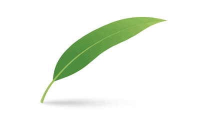 Single elongated curved green leaf illustration with a faint shadow