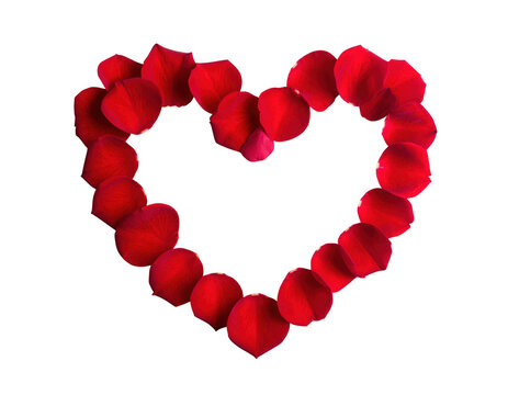 Heart shape made of red rose petals, isolated on white background