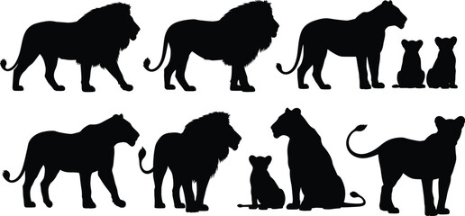 Lion silhouette vector set, African wildlife pride collection, male lion with mane, lioness and cubs family, safari animal shadows isolated on white, predators. © Dilip