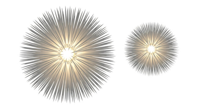 Microscopic depiction of two spherical clusters resembling sea urchins or star-shaped organisms isolated on transparent background