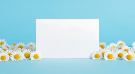 Blank White Card Surrounded by Daisies on a Light Blue Background.