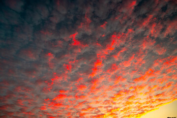 red sky grunge background