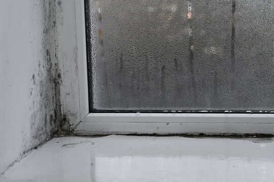 Mold infestation covering window corner and interior wall area, mold stains forming dark irregular patterns. Mold development caused by damp environment, long term moisture, housing maintenance issue