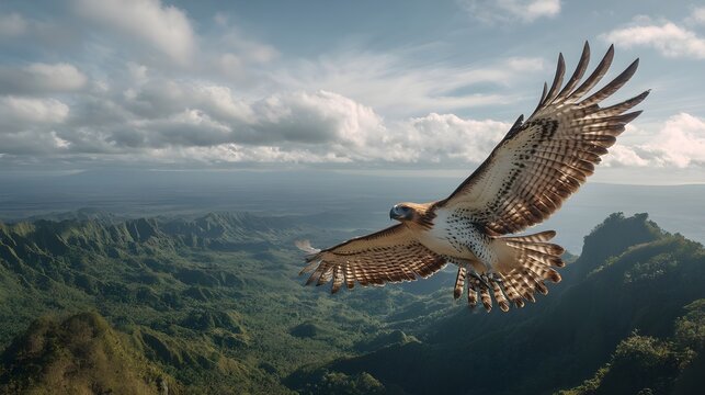 Philippine Eagle Gliding Over Lush Tropical Caldera for Majestic Wildlife Conservation and Nature Imagery