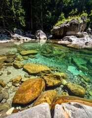 Crystal clear water flows through a rocky stream under a lush green canopy