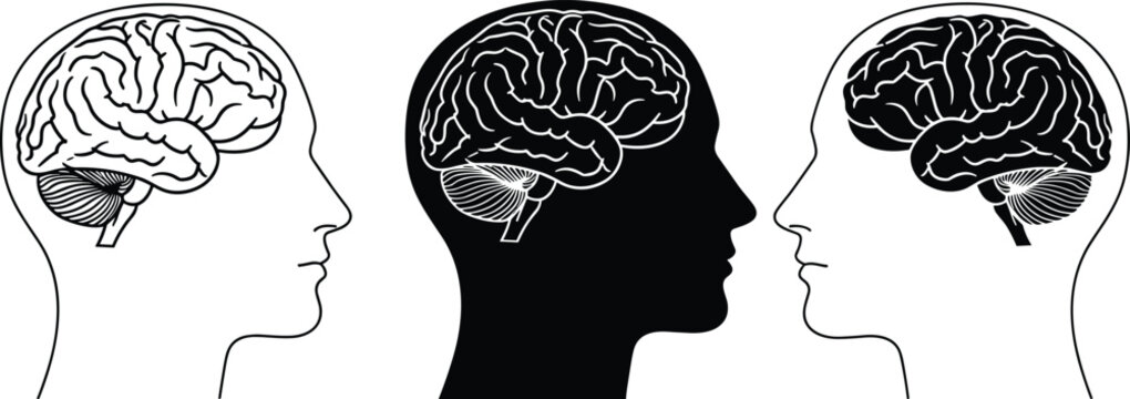 Human brain anatomy illustration, head profile silhouette set, neuroscience concept vector, mental health medical icon, brain diagram design isolated on white