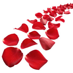 Scattered Red Rose Petals PNG Object