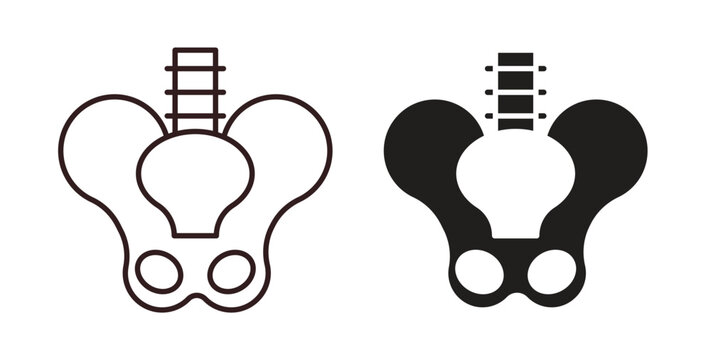 Pelvis icon vector Illustration logo template pack
