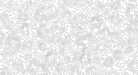 Obraz premium Abstract black and white topographic map with swirling, organic line 