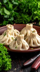 Dumplings on a rustic plate, garnished with herbs