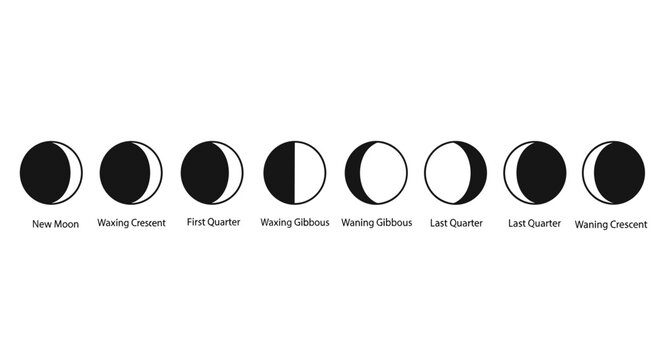 Phases of the Moon Cycle.