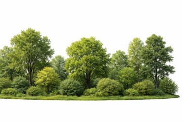Obraz premium Lush green trees and bushes form natural landscape panorama on white background