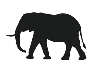Obraz premium Silhouetted black elephant walks left, against white background