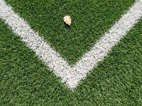 Corner of an Artificial Turf Sports Field with a Single Fallen Autumn Leaf