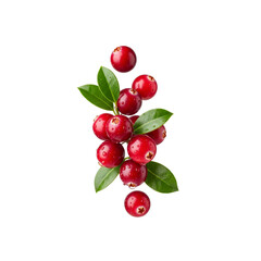 Obraz premium Fresh cranberries with water drops and green leaves