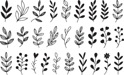 Fototapeta premium Set of tree branches