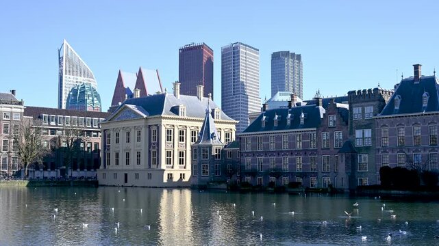 Bird flying on the pond of Mauritshuis museum and the Dutch parliament buildings in The Hague, Netherlands