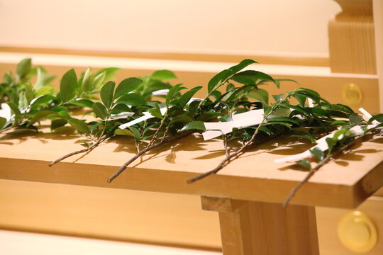 神社の神前に供えられた榊の玉串　神道　祭礼　祈祷　