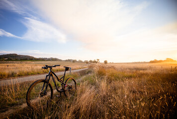 Golden hour gravel bike adventure on a quiet country road through tall dry grass fields, wide open sky and soft evening light in peaceful countryside

