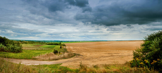 Obraz premium Vast patchwork of green and golden farmland under dark stormy sky, winding dirt lane leading into dramatic open countryside panorama before rain