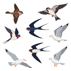 A collection of six stylized birds in flight and perched poses