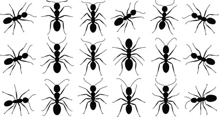 Ant silhouette vector illustration, insect icons in multiple postures, entomology artwork, biology design elements, crawling insect graphics, nature themed educational symbols