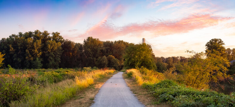 Peaceful evening walk and cycling path through lush riverside greenery under pastel pink clouds and soft golden light of a quiet summer sunset

