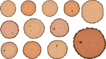 Wood tree rings collection illustration, log trunk cross section textures vector set, timber natural material isolated design © VectoBloom