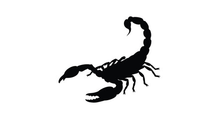 A striking silhouette of a scorpion is presented against a clean white background emphasizing its form high quality © nhpvect02