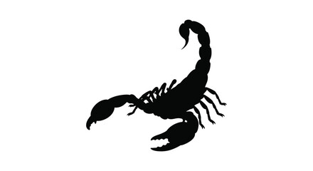 A striking silhouette of a scorpion is prominently displayed against a clean bright white background showcasing its form © nhpvect02