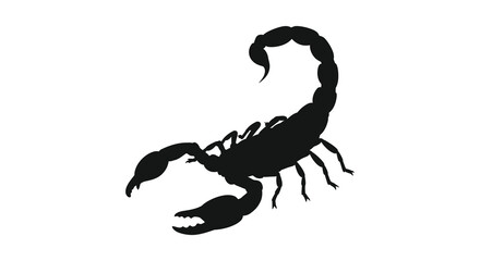 A striking silhouette of a black scorpion is displayed against a pure white background showcasing its form © nhpvect02