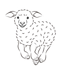 元気に走っている可愛い子羊の正面から見たイラスト
