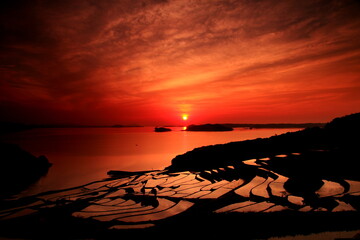 棚田のある景色