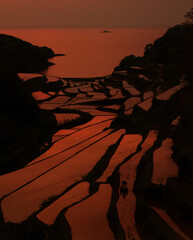 棚田のある景色