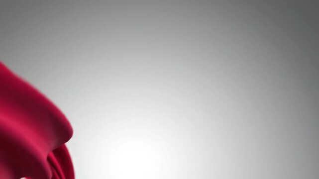 Abstract red flowing fabric on a gradient grey background