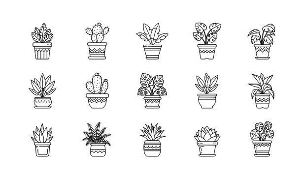 Minimal linear pot plant outline icons for blogs and infographics