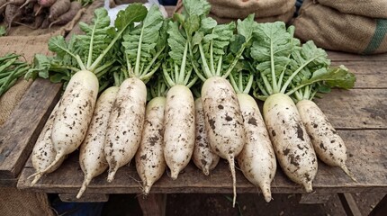 Fresh white radishes with green leaves on rustic wooden table at farmers market organic vegetable harvest concept