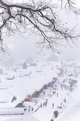 福島県南会津大内宿の冬景色