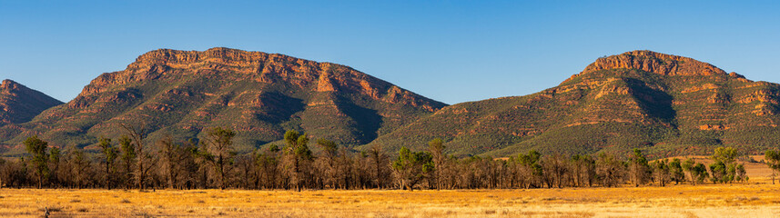 Wilpena Pound in Flinders Ranges, South Ausralia