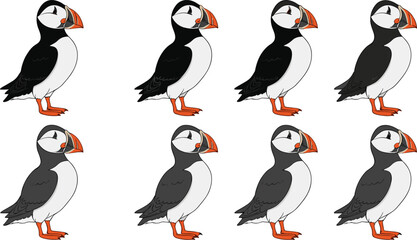 Obraz premium Atlantic Puffin Bird Cartoon Vector Set with Cute Seabird Characters in Different Color Variations, Coastal Wildlife Illustration in Flat Minimal Style