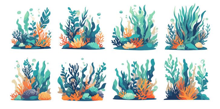 Collection d'illustrations de plantes sous-marines, algues et coraux color&eacute;s sur fond blanc pour des designs marins et aquatiques cr&eacute;atifs.