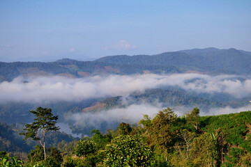 Serene misty morning over a tranquil mountains