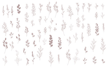 セピア色の手描きの植物のパーツセット。