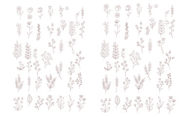 落ち浮いた色の素朴な手描きの植物のパーツセット。