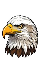 Detailed illustration of an eagle's head with sharp features and intense gaze, isolated © berkah