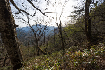 Climbing Mt. Ishizuchi, Ehime, Japan